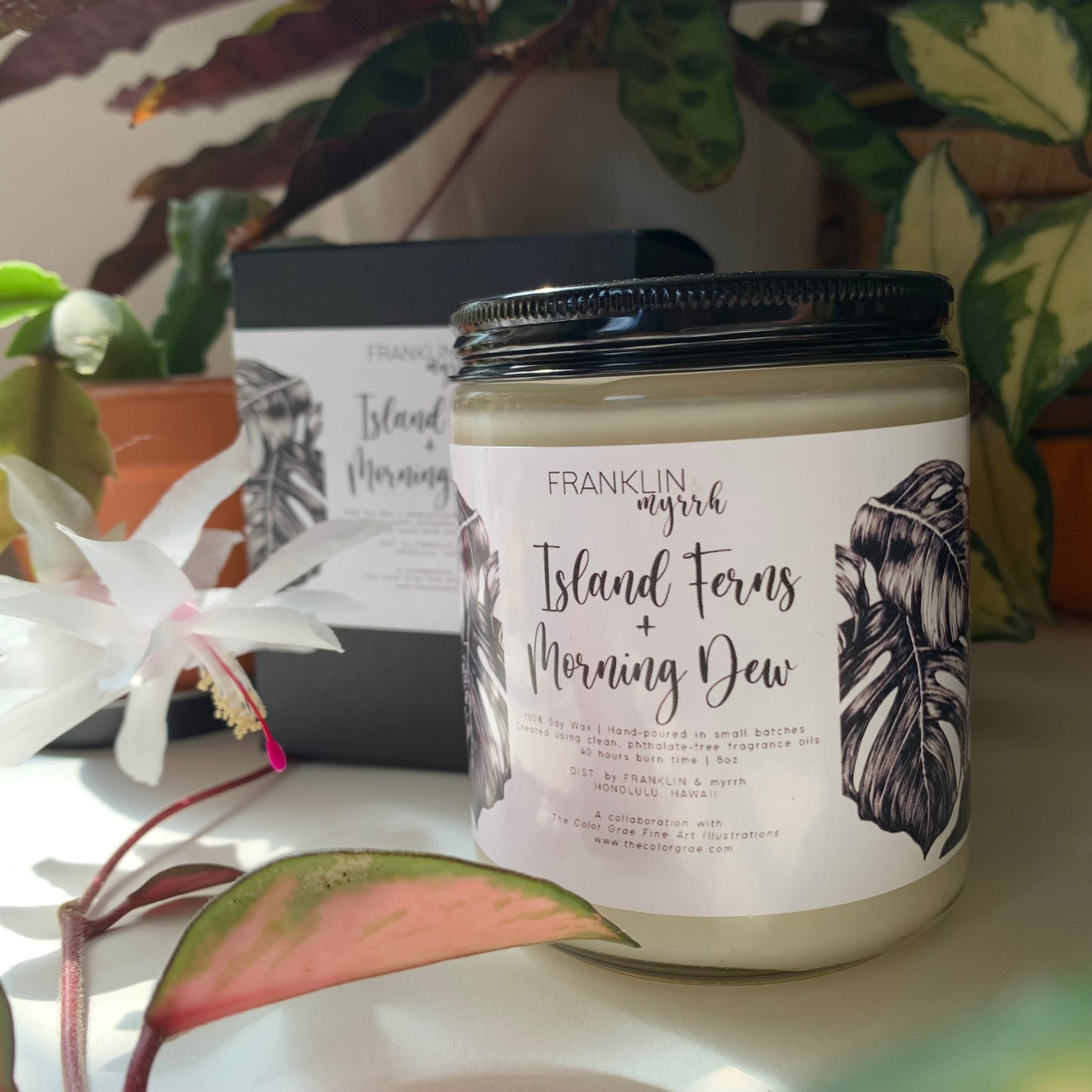 Island Ferns + Morning Dew 100% Soy Small Batch Hand Poured Candles