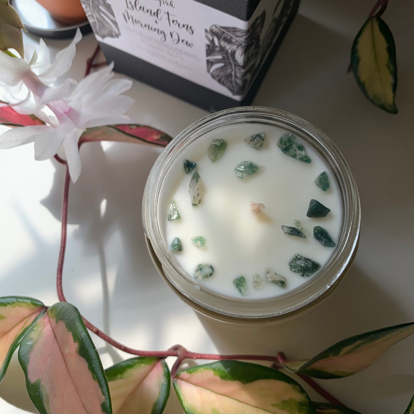 Island Ferns + Morning Dew 100% Soy Small Batch Hand Poured Candles