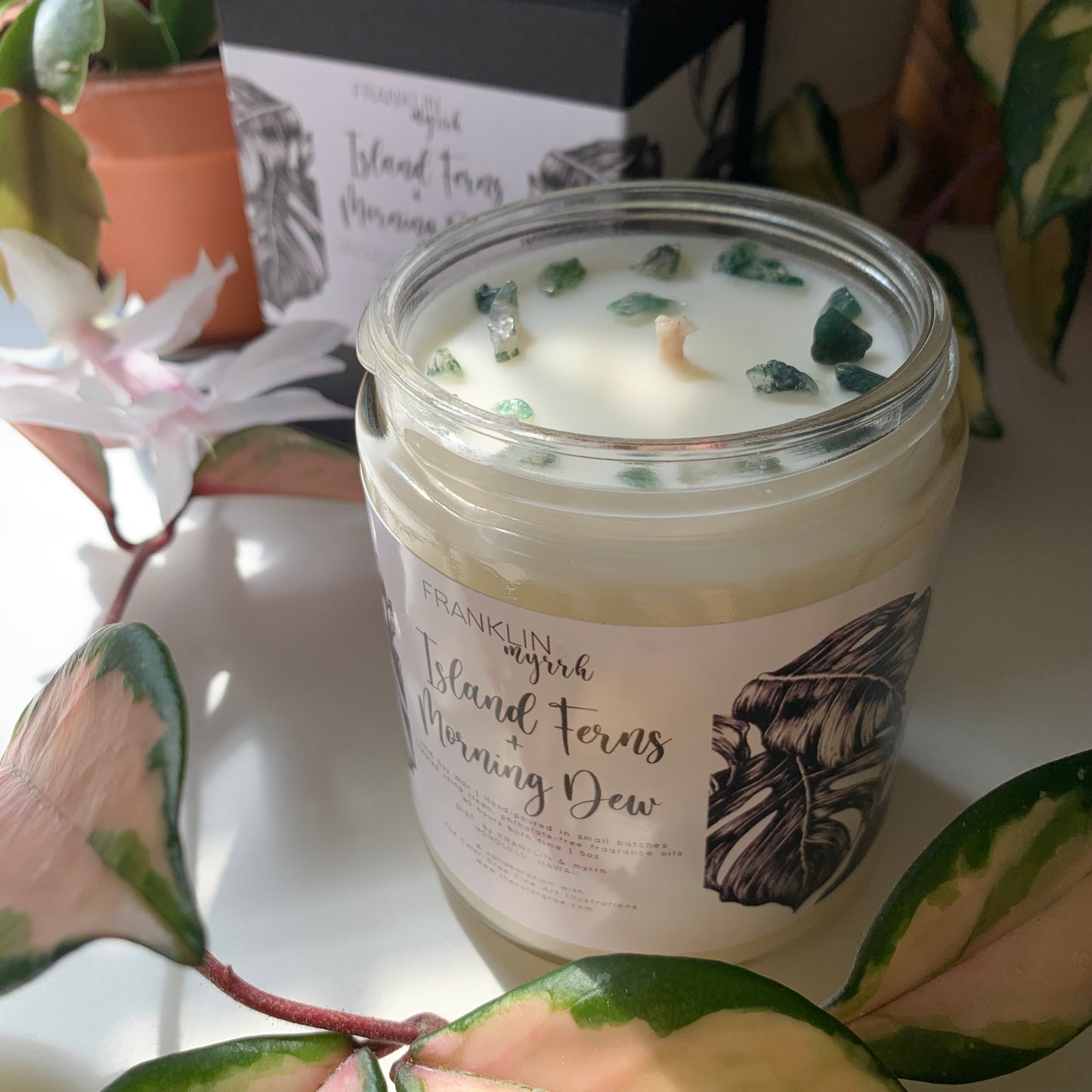 Island Ferns + Morning Dew 100% Soy Small Batch Hand Poured Candles